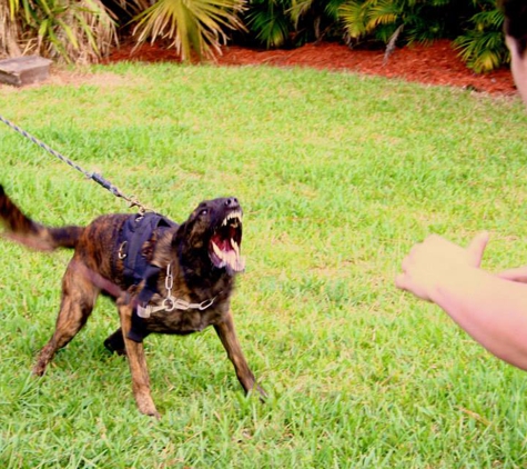 PCF K-9 - Loxahatchee, FL