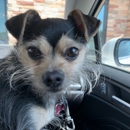 Wag N' Wash Natural Pet Food & Grooming - Pet Grooming