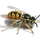 Bercam Exterminating - Pest Control Services