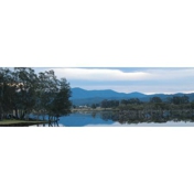 Gallery Image Number 5