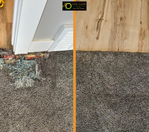 Vital Clean Carpet Cleaning - Riverton, UT. carpet repair