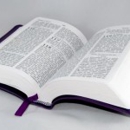 Grace Bible Fellowship - Churches & Places of Worship