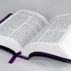 Grace Bible Fellowship