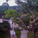 Andy's Tree Service - Tree Service