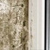 AdvantaClean of West Nashville gallery