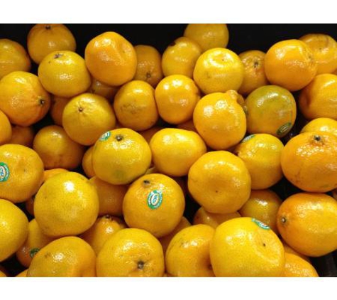 Nardi Produce - North Geelong, VIC