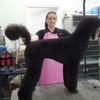 Shear Perfection Pet Salon gallery