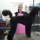 Shear Perfection Pet Salon - Dog & Cat Grooming & Supplies