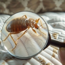 Enviro Pest Control - Pest Control Equipment & Supplies