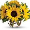 Enchanting Florist & Gift Shop gallery