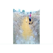 Gallery Image Number 3