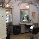 Sally Davis Studio