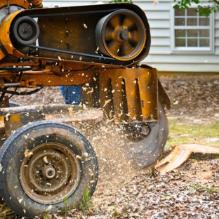 Kostos Tree Service - Lemon Grove, CA