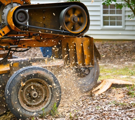 Kostos Tree Service - Lemon Grove, CA