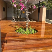 Gallery Image Number 4