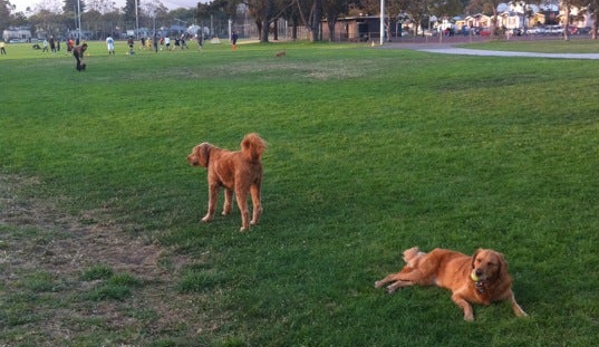 San Pablo Park - Berkeley, CA