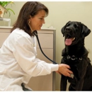 Token Creek Veterinary Clinic - Pet Services