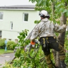 KD Tree Service gallery