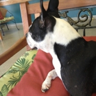 South Cooper Animal Hospital