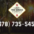 SES Tree Service of Marietta GA - Tree Service