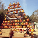 Los Angeles Haunted Hayride - Holiday Lights & Decorations