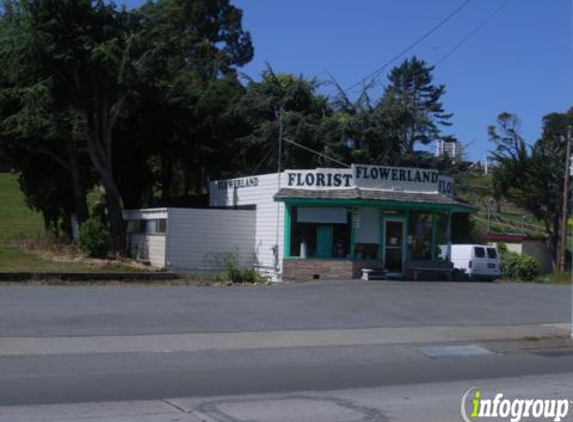 Flowerland Floral Shop - Colma, CA