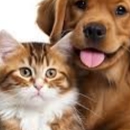 Loving Cuts Mobile Pet Grooming - Pet Grooming