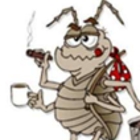 Affordable Pest Busters