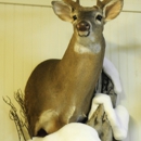 Sportmaster Taxidermy - Taxidermists
