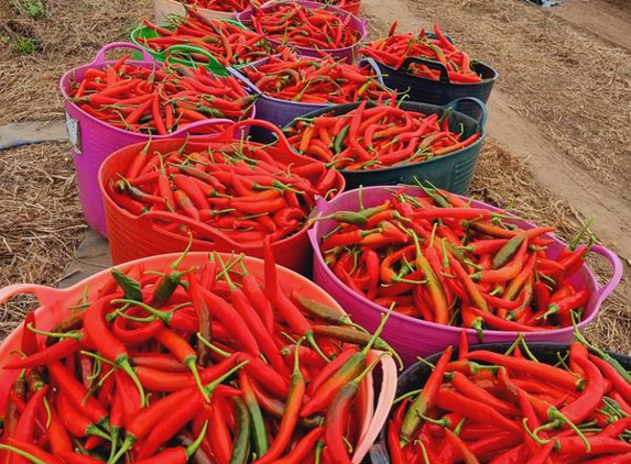 Condoluci Produce - Korumburra, VIC