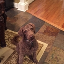 Alexandria Pet Inn Resort & Spa - Kennels