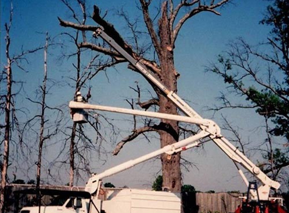 Dave's Tree Surgeons - Louisville, KY