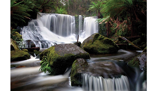 Russell Falls Holiday Cottages - National Park, TAS