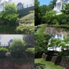 Matt's Lawncare LLC gallery