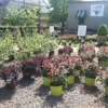 Southern Nurseries gallery