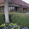 Helping Restore Ability gallery