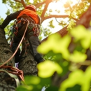 Senske Lawn Care Services - Tree Service
