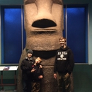 American Museum of Natural History - Museums
