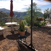 Old Survey Vineyards gallery