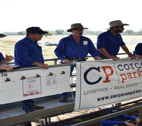 Corcoran Parker - Wodonga, VIC