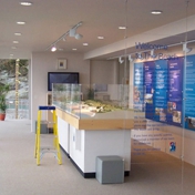 Gallery Image Number 3