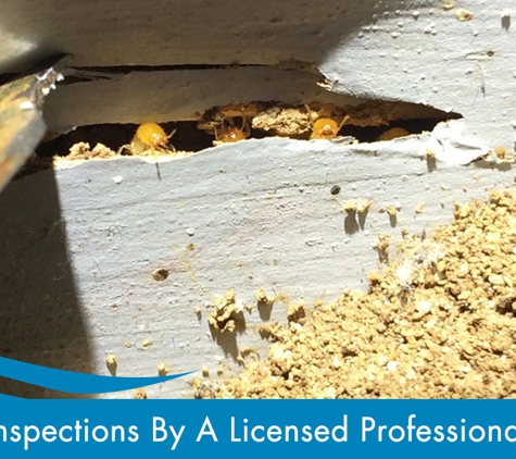 Evicta Pest Management. Inspections by a Licensed Professional
