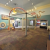 Tucson Children's Museum gallery