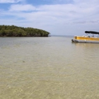 Mellow Mangrove Charters