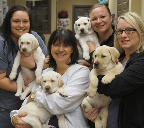 Roanoke Animal Hospital - Roanoke, TX. We love when puppies come to visit!