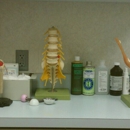 Garden State Orthopaedic Associates, PA - Physicians & Surgeons, Orthopedics