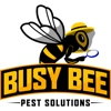 Busy Bee Pest Solutions gallery