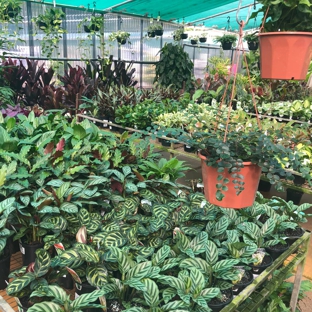 Rosemount Nursery - Rosemount, QLD