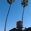 Taco Surf Incorporated - Mexican Restaurants