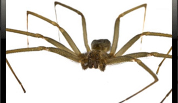 Sharp Pest Control - Cooma, NSW